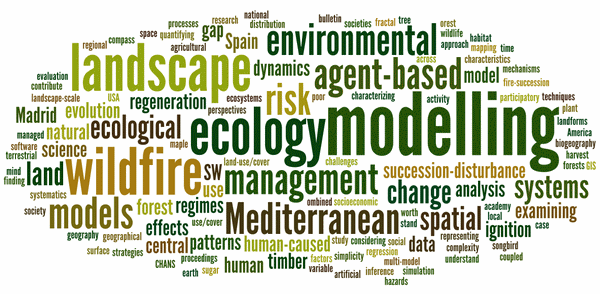 Publications Wordle