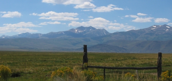 Traditional Spanish Dehesa Landscape