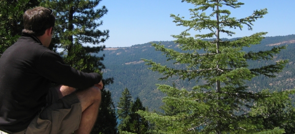 Californian Sierra