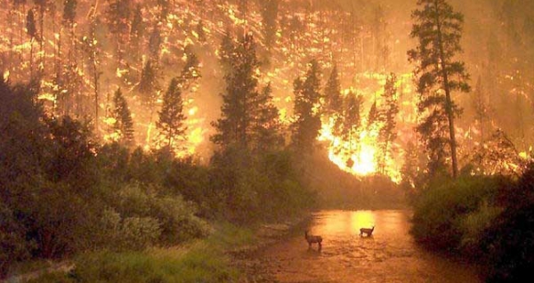 Montana Fire, photo by John McColgan